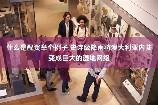 什么是配资举个例子 史诗级降雨将澳大利亚内陆变成巨大的湿地网络