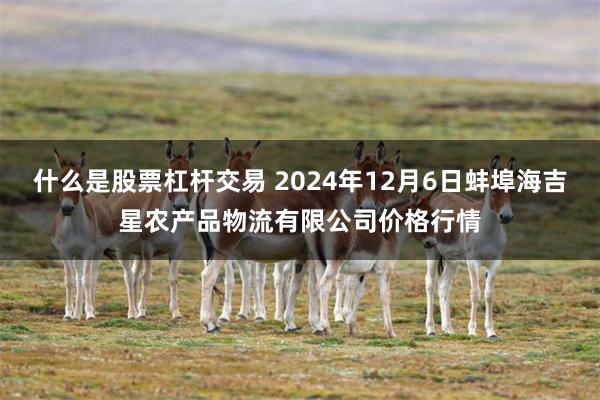什么是股票杠杆交易 2024年12月6日蚌埠海吉星农产品物流有限公司价格行情