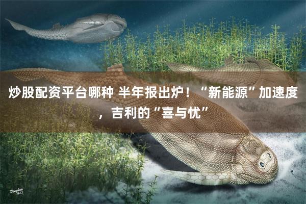 炒股配资平台哪种 半年报出炉！“新能源”加速度，吉利的“喜与忧”