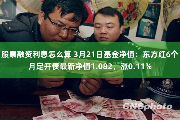 股票融资利息怎么算 3月21日基金净值：东方红6个月定开债最新净值1.082，涨0.11%