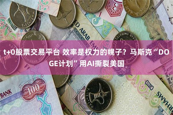 t+0股票交易平台 效率是权力的幌子？马斯克“DOGE计划”用AI撕裂美国