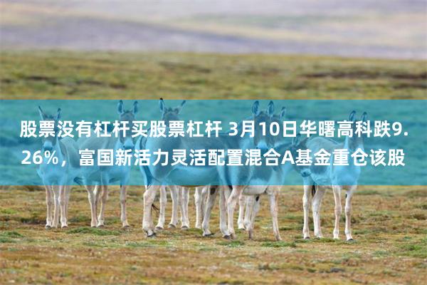 股票没有杠杆买股票杠杆 3月10日华曙高科跌9.26%，富国新活力灵活配置混合A基金重仓该股