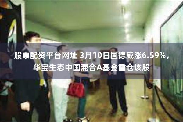 股票配资平台网址 3月10日固德威涨6.59%，华宝生态中国混合A基金重仓该股