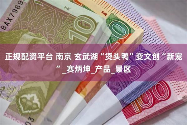 正规配资平台 南京 玄武湖“烫头鸭”变文创“新宠”_赛炳坤_产品_景区