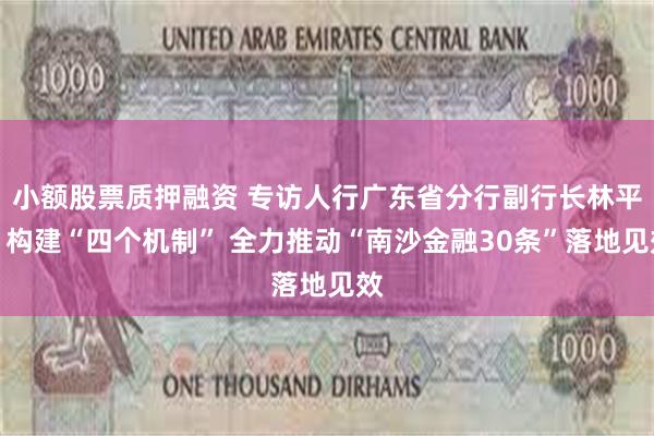 小额股票质押融资 专访人行广东省分行副行长林平：构建“四个机制” 全力推动“南沙金融30条”落地见效