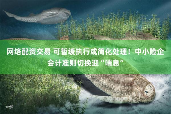 网络配资交易 可暂缓执行或简化处理！中小险企会计准则切换迎“喘息”